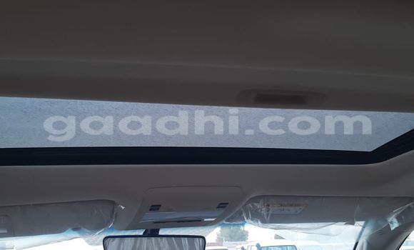 Nunua Mpya Toyota Land Cruiser Nyeupe Gari ndani ya Mogadishu nchini Somalia Nunua Mpya Toyota Land Cruiser Nyeupe Gari ndani ya Mogadishu nchini Somalia