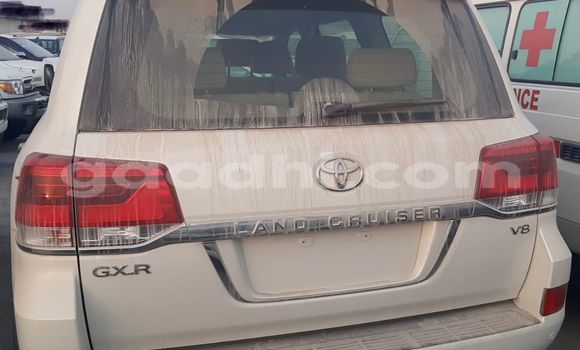 Nunua Mpya Toyota Land Cruiser Nyeupe Gari ndani ya Mogadishu nchini Somalia Nunua Mpya Toyota Land Cruiser Nyeupe Gari ndani ya Mogadishu nchini Somalia