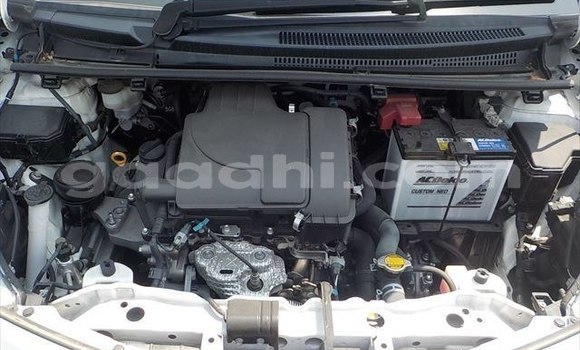 Buy Used Toyota Vitz White Car in Dujuma in Gedo Buy Used Toyota Vitz White Car in Dujuma in Gedo