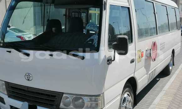 ይግዙ ያገለገለ Toyota Coaster Beige መኪና በ Afgooye በ ሶማሊያ ይግዙ ያገለገለ Toyota Coaster Beige መኪና በ Afgooye በ ሶማሊያ