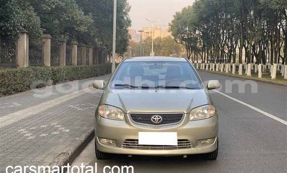 Buy Used Toyota Vios Silver Car in Mogadishu in Somalia Buy Used Toyota Vios Silver Car in Mogadishu in Somalia