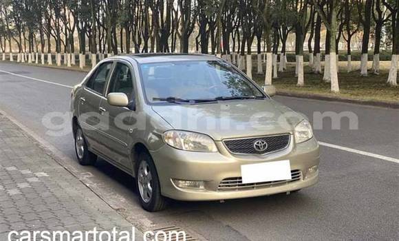 Buy Used Toyota Vios Silver Car in Mogadishu in Somalia Buy Used Toyota Vios Silver Car in Mogadishu in Somalia