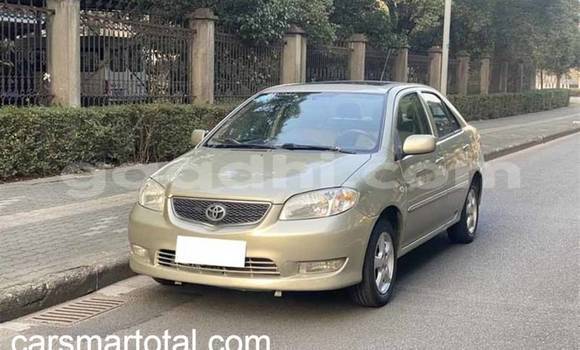 Buy Used Toyota Vios Silver Car in Mogadishu in Somalia Buy Used Toyota Vios Silver Car in Mogadishu in Somalia