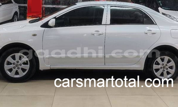 Buy Used Toyota Corolla White Car in Bereda in Bari Buy Used Toyota Corolla White Car in Bereda in Bari