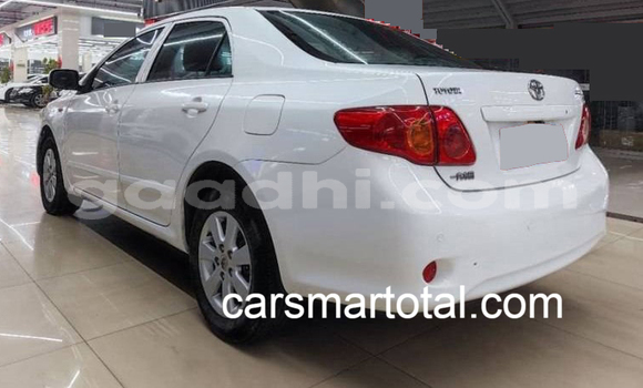 Buy Used Toyota Corolla White Car in Bereda in Bari Buy Used Toyota Corolla White Car in Bereda in Bari