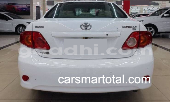 Buy Used Toyota Corolla White Car in Bereda in Bari Buy Used Toyota Corolla White Car in Bereda in Bari