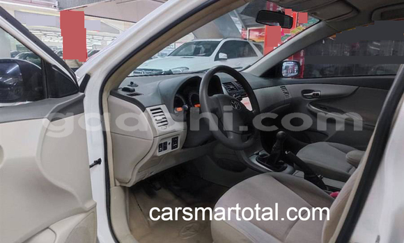 Buy Used Toyota Corolla White Car in Bereda in Bari Buy Used Toyota Corolla White Car in Bereda in Bari
