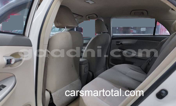 Buy Used Toyota Corolla White Car in Bereda in Bari Buy Used Toyota Corolla White Car in Bereda in Bari