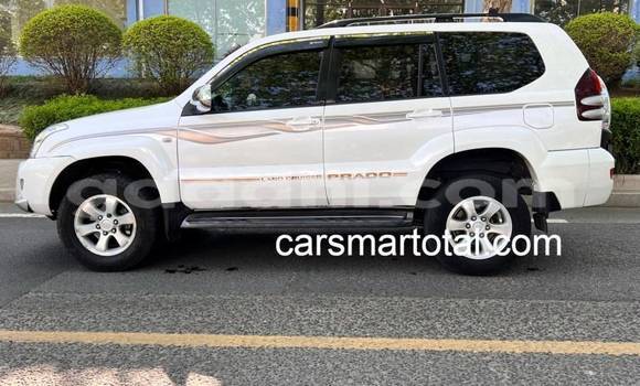 Buy Used Toyota Prado White Car in Borama in Awdal Buy Used Toyota Prado White Car in Borama in Awdal