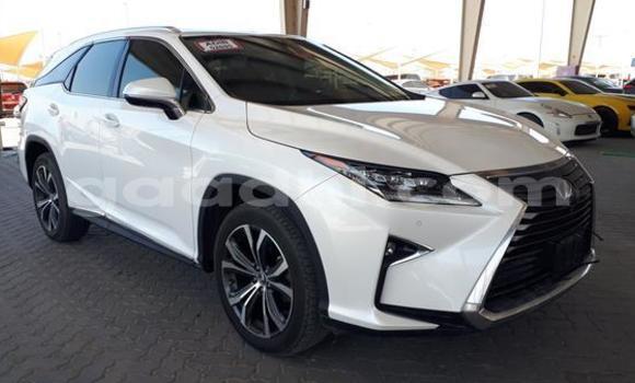 Buy Used Lexus RX 350 White Car in Mogadishu in Somalia Buy Used Lexus RX 350 White Car in Mogadishu in Somalia