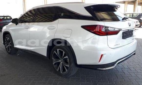 Buy Used Lexus RX 350 White Car in Mogadishu in Somalia Buy Used Lexus RX 350 White Car in Mogadishu in Somalia