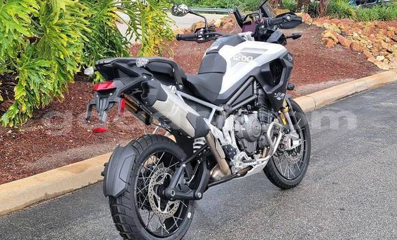 اشتري مستعمل Triumph Tiger أسود دراجة نارية في باكي في أودال اشتري مستعمل Triumph Tiger أسود دراجة نارية في باكي في أودال