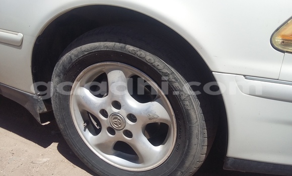 Nunua Ilio tumika Toyota 4Runner Nyeupe Gari ndani ya Mogadishu nchini Somalia Nunua Ilio tumika Toyota 4Runner Nyeupe Gari ndani ya Mogadishu nchini Somalia