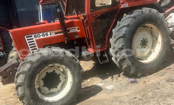 Buy Used Fiat 131 Red Car in Mogadishu in Somalia Buy Used Fiat 131 Red Car in Mogadishu in Somalia