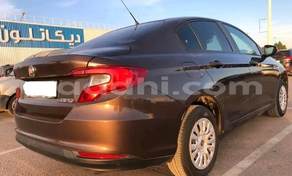 Buy Used Fiat Tipo Brown Car in Mogadishu in Somalia