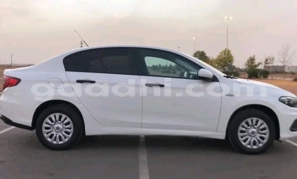 Buy Used Fiat Tipo White Car in Mogadishu in Somalia