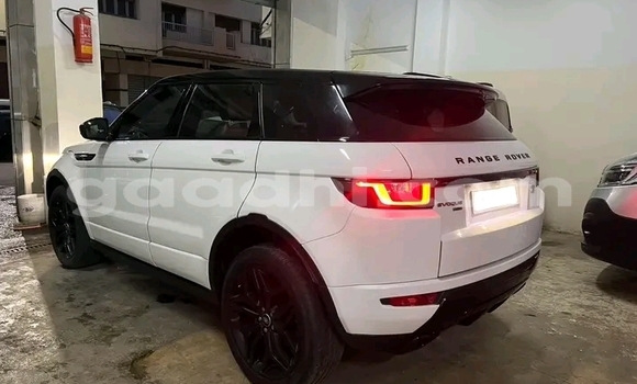 Nunua Ilio tumika Range Rover Evoque Nyeupe Gari ndani ya Mogadishu nchini Somalia Nunua Ilio tumika Range Rover Evoque Nyeupe Gari ndani ya Mogadishu nchini Somalia