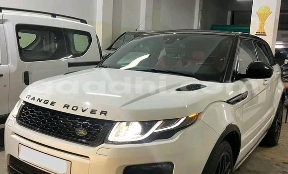 Nunua Ilio tumika Range Rover Evoque Nyeupe Gari ndani ya Mogadishu nchini Somalia Nunua Ilio tumika Range Rover Evoque Nyeupe Gari ndani ya Mogadishu nchini Somalia