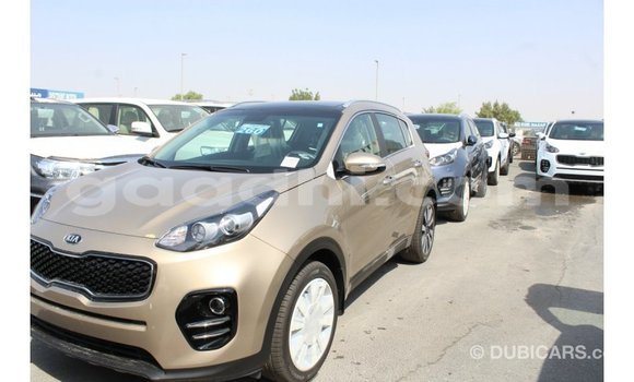 Buy Import Kia Sportage Black Car in Import - Dubai in Somalia