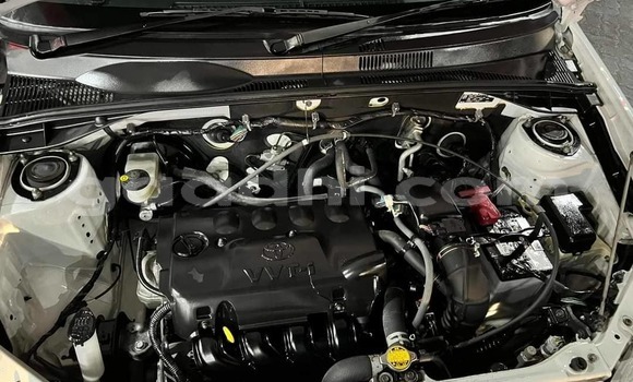 Buy Used Toyota Succeed White Car in Kismayo in Somalia Buy Used Toyota Succeed White Car in Kismayo in Somalia