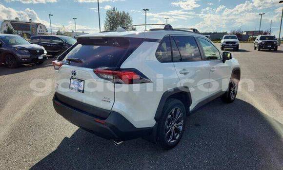 Nunua Ilio tumika Toyota RAV4 Nyeupe Gari ndani ya Dolaw nchini Gedo Nunua Ilio tumika Toyota RAV4 Nyeupe Gari ndani ya Dolaw nchini Gedo