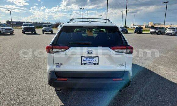 Nunua Ilio tumika Toyota RAV4 Nyeupe Gari ndani ya Dolaw nchini Gedo Nunua Ilio tumika Toyota RAV4 Nyeupe Gari ndani ya Dolaw nchini Gedo