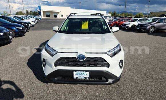 Nunua Ilio tumika Toyota RAV4 Nyeupe Gari ndani ya Dolaw nchini Gedo Nunua Ilio tumika Toyota RAV4 Nyeupe Gari ndani ya Dolaw nchini Gedo