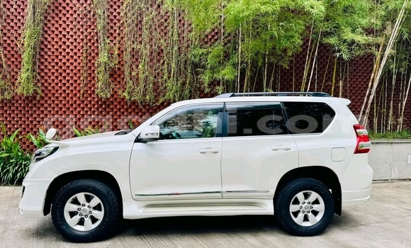 Buy Used Volvo F4 White Truck in Garowe in Nugal