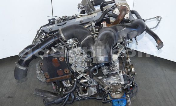 Buy ISUZU NPR 5.2L TURBO in Mogadishu in Somalia Buy ISUZU NPR 5.2L TURBO in Mogadishu in Somalia
