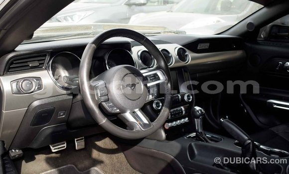 Imported Ford Mustang Black Makiinaa iti Import - Dubai keessatti Somalia keessatti Imported Ford Mustang Black Makiinaa iti Import - Dubai keessatti Somalia keessatti