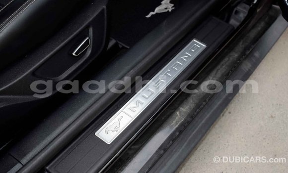 Imported Ford Mustang Black Makiinaa iti Import - Dubai keessatti Somalia keessatti Imported Ford Mustang Black Makiinaa iti Import - Dubai keessatti Somalia keessatti
