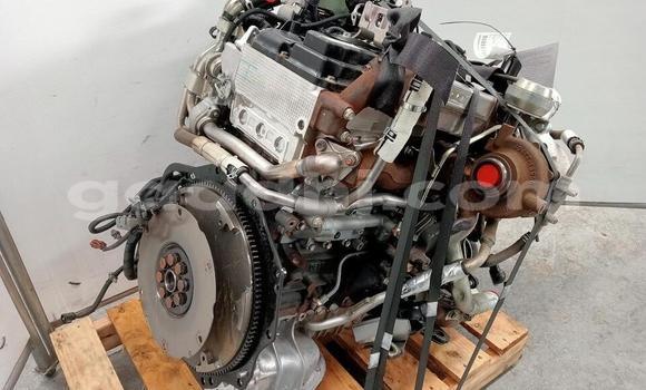 Buy ISUZU DMAX 3.0 in Mogadishu in Somalia Buy ISUZU DMAX 3.0 in Mogadishu in Somalia