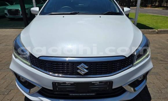 Buy Used Suzuki Ciaz White Car in Mogadishu in Somalia Buy Used Suzuki Ciaz White Car in Mogadishu in Somalia