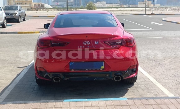 Buy Used Infiniti Q60 Red Car in Mogadishu in Somalia Buy Used Infiniti Q60 Red Car in Mogadishu in Somalia