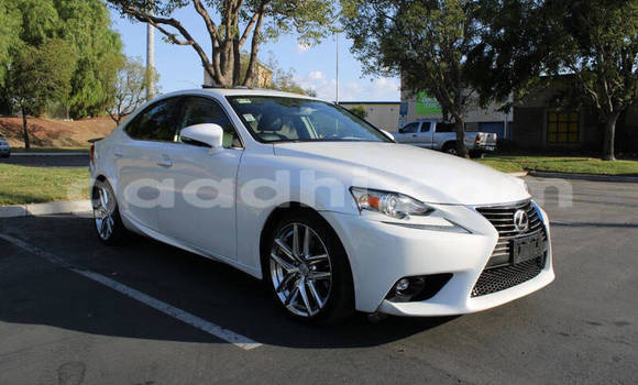 Buy Used Lexus IS White Car in Mogadishu in Somalia