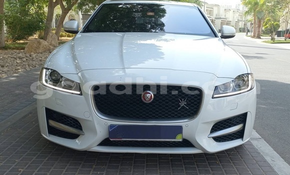 Buy Used Jaguar XF White Car in Mogadishu in Somalia Buy Used Jaguar XF White Car in Mogadishu in Somalia