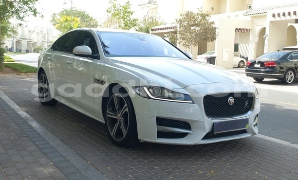 Buy Used Jaguar XF White Car in Mogadishu in Somalia Buy Used Jaguar XF White Car in Mogadishu in Somalia
