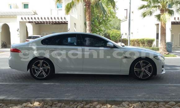 Buy Used Jaguar XF White Car in Mogadishu in Somalia Buy Used Jaguar XF White Car in Mogadishu in Somalia