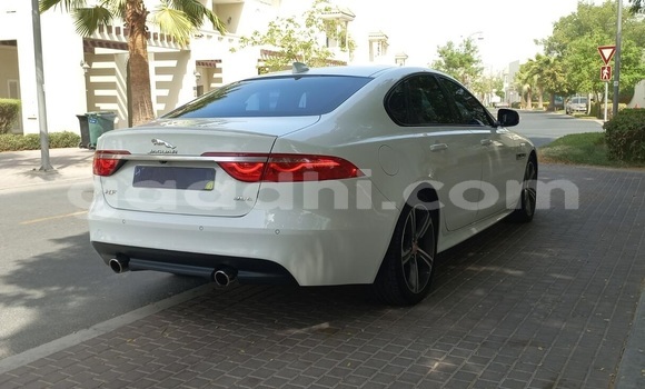 Buy Used Jaguar XF White Car in Mogadishu in Somalia Buy Used Jaguar XF White Car in Mogadishu in Somalia