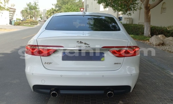 Buy Used Jaguar XF White Car in Mogadishu in Somalia Buy Used Jaguar XF White Car in Mogadishu in Somalia