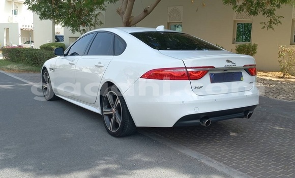 Buy Used Jaguar XF White Car in Mogadishu in Somalia Buy Used Jaguar XF White Car in Mogadishu in Somalia