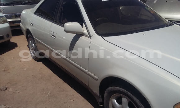 Nunua Ilio tumika Toyota 4Runner Nyeupe Gari ndani ya Mogadishu nchini Somalia Nunua Ilio tumika Toyota 4Runner Nyeupe Gari ndani ya Mogadishu nchini Somalia