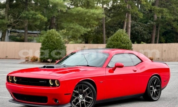 Buy Used Dodge Challenger Red Car in Mogadishu in Somalia