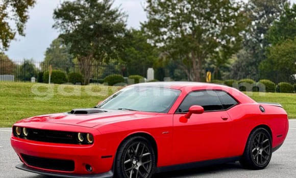Buy Used Dodge Challenger Red Car in Mogadishu in Somalia Buy Used Dodge Challenger Red Car in Mogadishu in Somalia