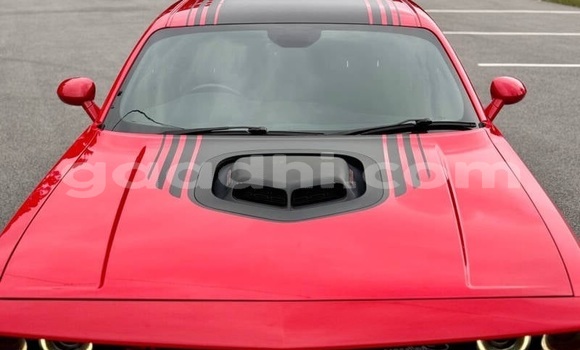 Buy Used Dodge Challenger Red Car in Mogadishu in Somalia Buy Used Dodge Challenger Red Car in Mogadishu in Somalia