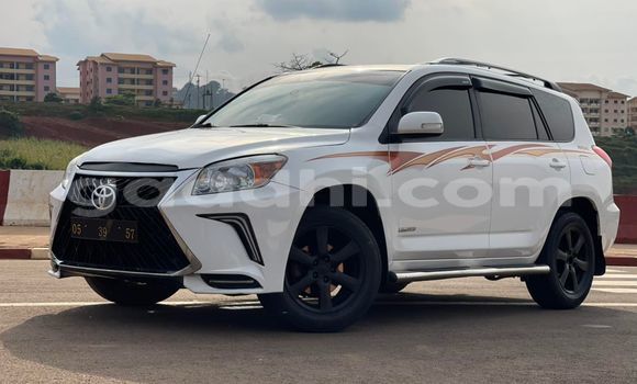 Nunua Ilio tumika Toyota RAV4 Nyeupe Gari ndani ya Mogadishu nchini Somalia Nunua Ilio tumika Toyota RAV4 Nyeupe Gari ndani ya Mogadishu nchini Somalia