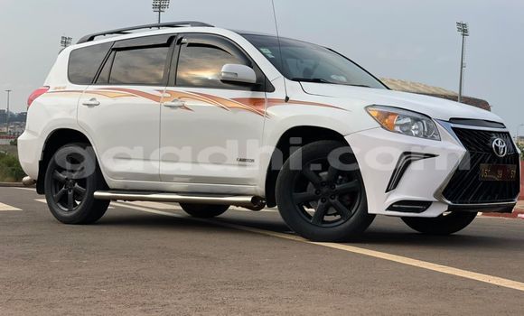 Nunua Ilio tumika Toyota RAV4 Nyeupe Gari ndani ya Mogadishu nchini Somalia Nunua Ilio tumika Toyota RAV4 Nyeupe Gari ndani ya Mogadishu nchini Somalia