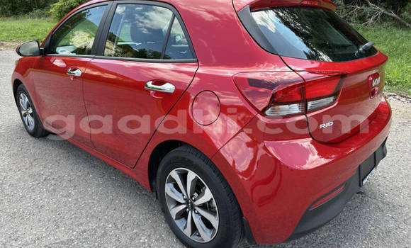 Buy Used Kia Rio Red Car in Mogadishu in Somalia Buy Used Kia Rio Red Car in Mogadishu in Somalia
