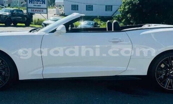 ይግዙ ያገለገለ Chevrolet Camaro ነጭ መኪና በ ሞቃዲሾ በ ሶማሊያ ይግዙ ያገለገለ Chevrolet Camaro ነጭ መኪና በ ሞቃዲሾ በ ሶማሊያ