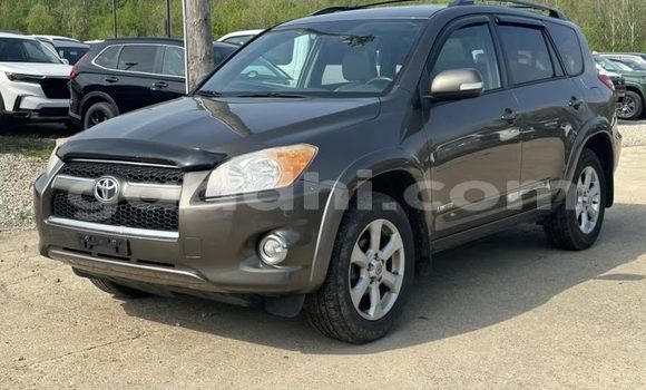 Nunua Ilio tumika Toyota RAV4 Brown Gari ndani ya Berbera nchini Somalia